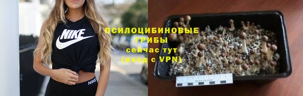 ешки Алексеевка