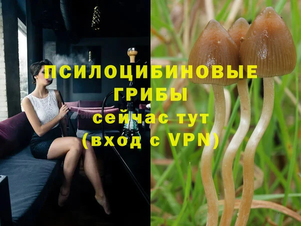 марки lsd Алзамай