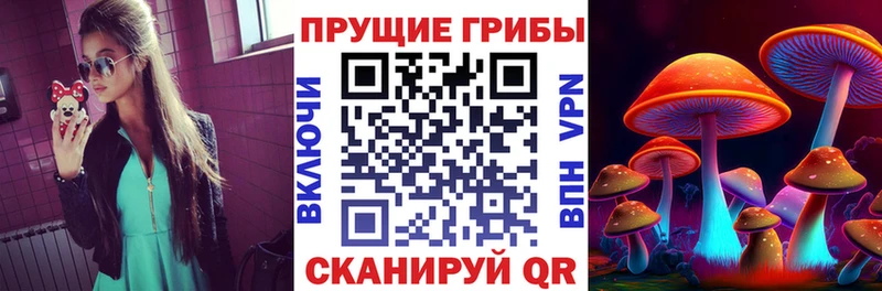 Галлюциногенные грибы ЛСД  omg как войти  Феодосия 