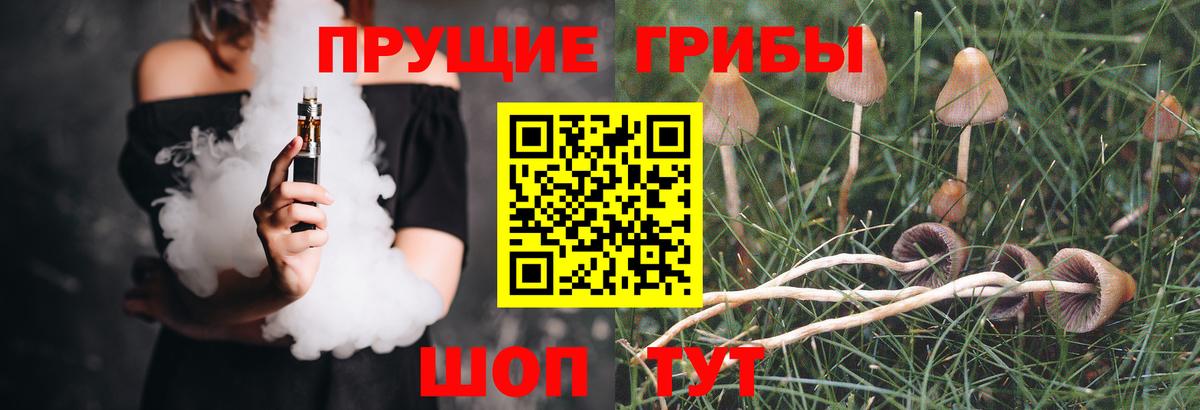 Феодосия  Псилоцибиновые грибы мухоморы  Вход с VPN 